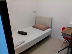The Rochester Residences (D5), Apartment #585567211